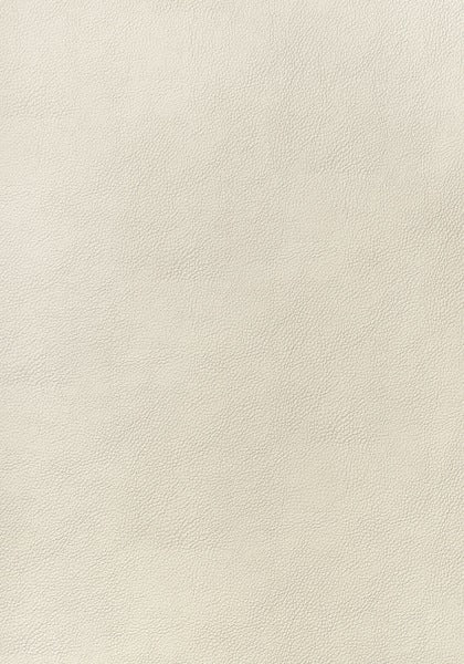 Thibaut Arcata Sand W78382 Sierra Collection Upholstery Fabric