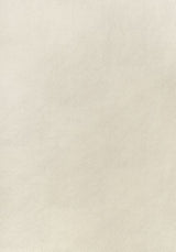 Thibaut Arcata Sand W78382 Sierra Collection Upholstery Fabric