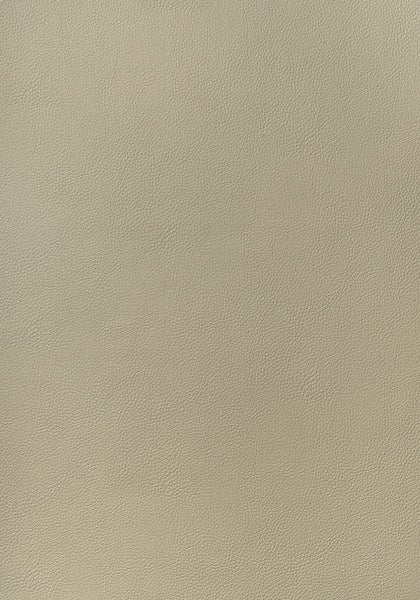Thibaut Arcata Dune W78383 Sierra Collection Upholstery Fabric