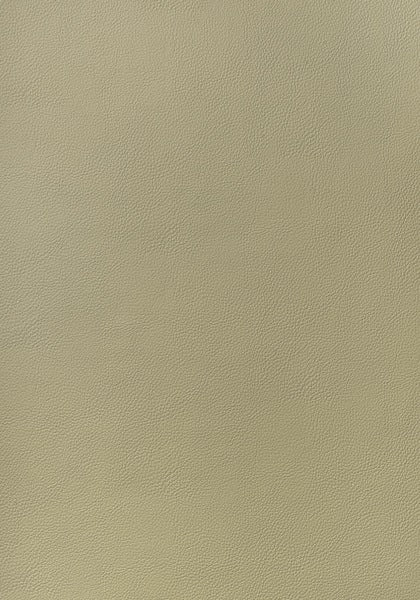 Thibaut Arcata Twig W78385 Sierra Collection Upholstery Fabric