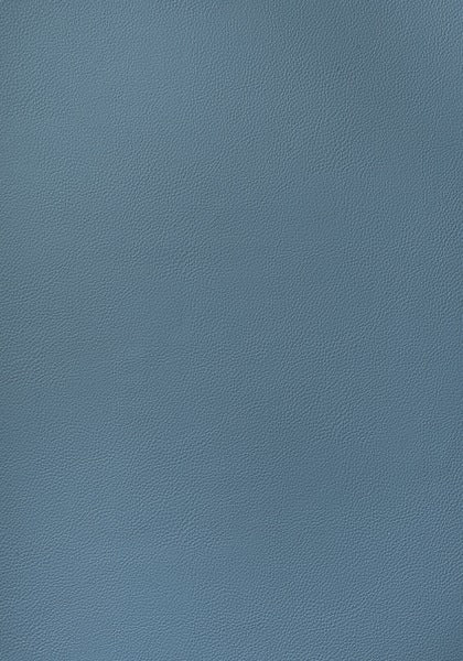 Thibaut Arcata Lake W78391 Sierra Collection Upholstery Fabric