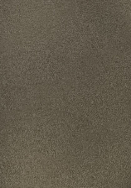 Thibaut Arcata Hickory W78396 Sierra Collection Upholstery Fabric