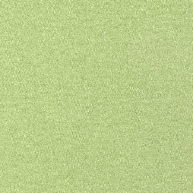 Thibaut Tessa Kiwi W81656 Locale Collection Upholstery Fabric