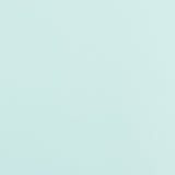 Weblon Regatta White/Foam Green D-62416 62-Inch Waterproof Marine / Shade Fabric