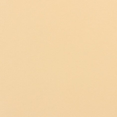 Weblon Vanguard Sand 2900 62-inch Awning Fabric