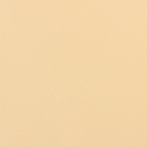 Weblon Vanguard Sand 2900 62-inch Awning Fabric