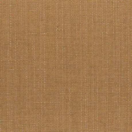Sunbrella Willa Amber 146465-0029 Upholstery Fabric