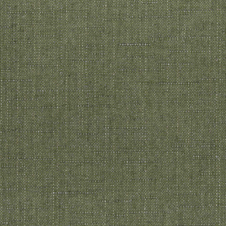Sunbrella Willa Frond 146465-0035 Upholstery Fabric