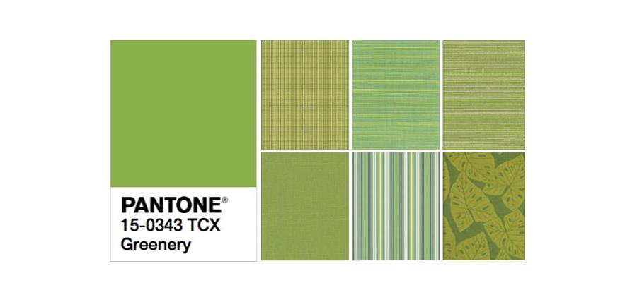 Pantone's 2017 Color of the Year: Greenery