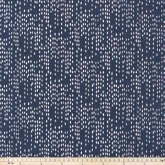 Scott Living Destiny Denim Luxe Canvas South Seas Collection Multipurpose Fabric