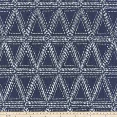 Scott Living Tessa Denim Luxe Canvas South Seas Collection Multipurpose Fabric