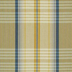 Robert Allen Douglas Royal Essentials Collection Indoor Upholstery Fabric