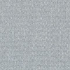 Duralee Seaglass 36289-619 Decor Fabric