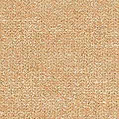 Robert Allen Scholtes Apricot Color Library Collection Indoor Upholstery Fabric