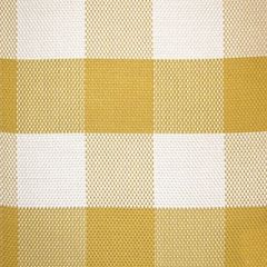 Grey Watkins Check It Out Zinnia SU 00027967 Weather Or Not Collection Upholstery Fabric