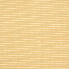 Robert Allen Bayclub Sandcastle Essentials Collection Indoor Upholstery Fabric