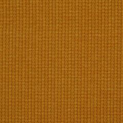 Robert Allen Blackwood Mango Essentials Collection Indoor Upholstery Fabric