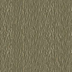 Kravet Contract Bene Grey 11 Faux Leather Indoor Upholstery Fabric