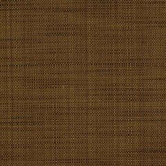 Robert Allen Texturetake Sepia 173598 Indoor Upholstery Fabric