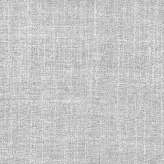 Stout Easement Platinum 1 Color My Window Collection Drapery Fabric
