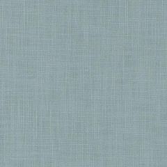 Duralee Aqua 32844-19 Decor Fabric