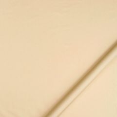 Robert Allen Lustre Sheen Pongee Color Library Multipurpose Collection Indoor Upholstery Fabric