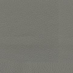 F. Schumacher Brisa Ash 303-5802 Ultraleather Collection