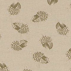 Robert Allen Noisette Meadow Essentials Collection Indoor Upholstery Fabric
