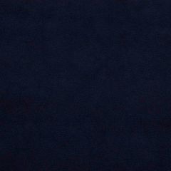 Robert Allen Indigo Essentials Collection Indoor Upholstery Fabric