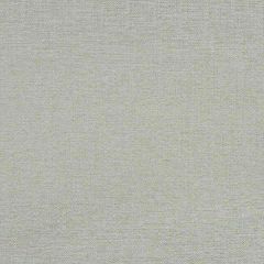 Robert Allen Alvaro Luxe Bk Aquatint 262247 Modern Drama Collection By DwellStudio Indoor Upholstery Fabric