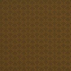 Robert Allen Contract Walking Maze-Ochre 216559 Decor Upholstery Fabric