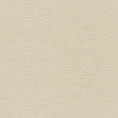 Kravet Suede Texture Stone 34121-611 Jan Showers Glamorous Collection Indoor Upholstery Fabric