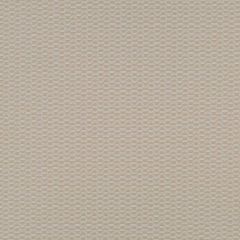 Robert Allen Dharmsen Dove 262164 Modern Drama Collection By DwellStudio Indoor Upholstery Fabric