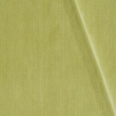 Robert Allen Plush Strie Lemongrass 240996 Strie Velvets Collection Indoor Upholstery Fabric