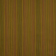 Robert Allen Pizazz Mahogany Essentials Collection Indoor Upholstery Fabric