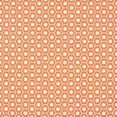 F Schumacher Queen B Orange 177073 Prints by Studio Bon Collection Indoor Upholstery Fabric