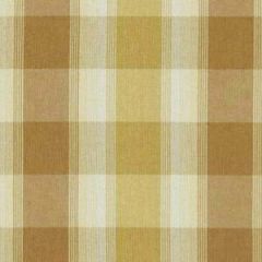 Robert Allen Burnett Butterscotch Color Library Collection Indoor Upholstery Fabric