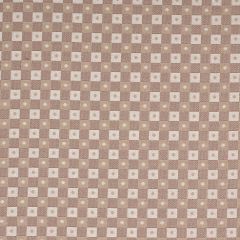 Robert Allen Boxed Up Stone Color Library Collection Indoor Upholstery Fabric