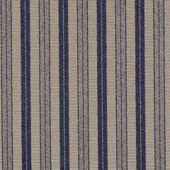Robert Allen Strondak Mink Color Library Multipurpose Collection Indoor Upholstery Fabric