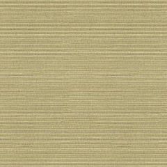 Kravet Couture Big Picture Pebble 33990-1611 Modern Luxe II Collection Indoor Upholstery Fabric