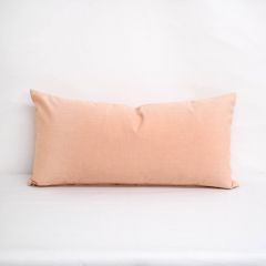 Indoor/Outdoor Sunbrella Meridian Cameo - 24x12 Throw Pillow (quick ship)