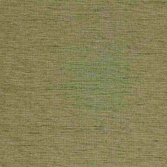 Robert Allen Plain Elegance-Apple II 215373 Decor Multi-Purpose Fabric