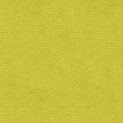 Kravet Design Green 33125-3 Indoor Upholstery Fabric