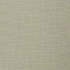 Robert Allen Merry Dot Moss 255582 Enchanting Color Collection Indoor Upholstery Fabric