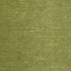 Robert Allen Illumina Peridot Home Upholstery Collection Indoor Upholstery Fabric