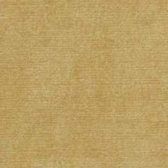 Robert Allen Illumina Straw Home Upholstery Collection Indoor Upholstery Fabric