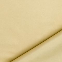 Robert Allen Ultima Parchment Essentials Multi Purpose Collection Indoor Upholstery Fabric