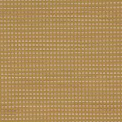 Robert Allen Contract Textured Orb-Citrine 2308-99 Upholstery Fabric