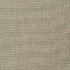 Robert Allen Balance Moss 255511 Enchanting Color Collection Indoor Upholstery Fabric