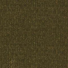 Robert Allen Just Chic Peridot Essentials Collection Indoor Upholstery Fabric